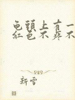 龟头上有一小块红色不疼不痒封面