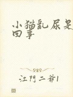 小猫乱尿是怎么回事