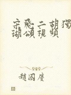 宋飞二胡独奏珊瑚颂视频