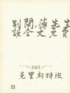 别闹,薄先生小说全文免费阅读