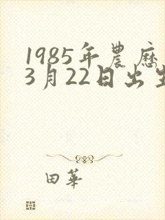 1985年农历3月22日出生男的命运
