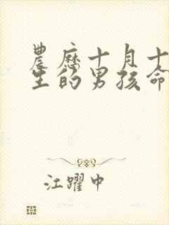 农历十月十五出生的男孩命运