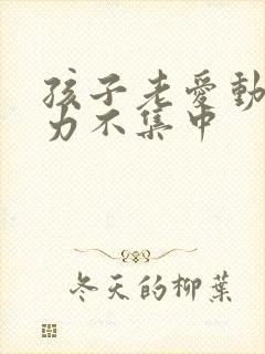 孩子老爱动注意力不集中