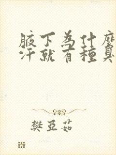 腋下为什么一出汗就有种臭臭的味道