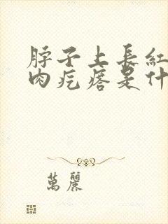 脖子上长红色小肉疙瘩是什么原因