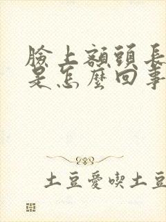 脸上额头长痘痘是怎么回事