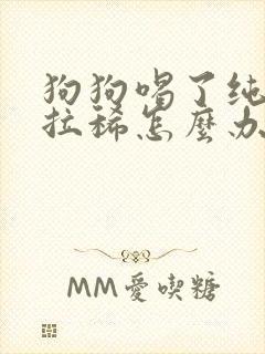 狗狗喝了纯牛奶拉稀怎么办