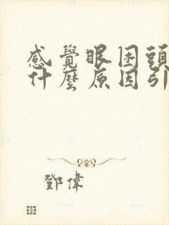 感觉眼困头晕是什么原因引起的