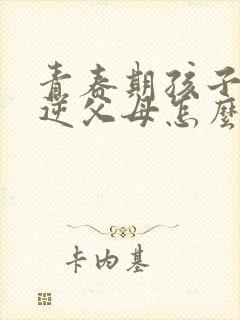 青春期孩子的叛逆父母怎么办封面