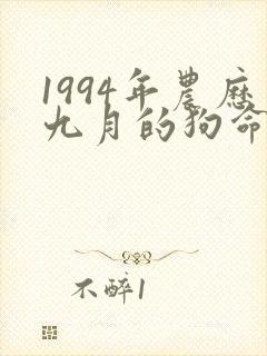 1994年农历九月的狗命运如何