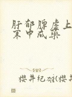 肝郁脾虚上热下寒中成药