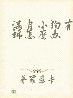 满月小狗有点拉稀怎么办封面