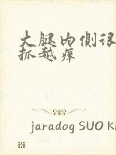 大腿内侧很痒越抓越痒封面