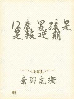 12岁男孩是不是叛逆期封面