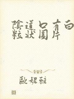 阴道口有白色颗粒状图片