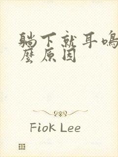 躺下就耳鸣是什么原因