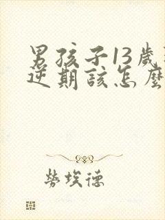 男孩子13岁叛逆期该怎么沟通