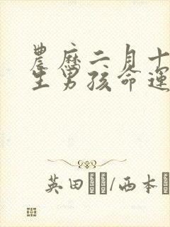 农历二月十五出生男孩命运如何