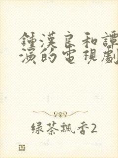 钟汉良和谭松韵演的电视剧