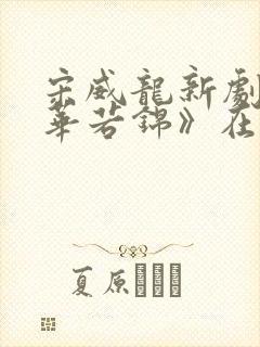 宋威龙新剧《韶华若锦》在哪里可以看
