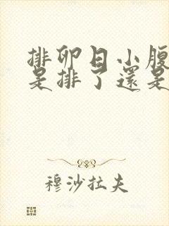 排卵日小腹坠胀是排了还是没排