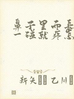 鼻子里面长疙瘩一碰就疼怎么回事