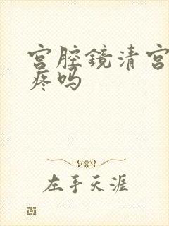 宫腔镜清宫手术疼吗