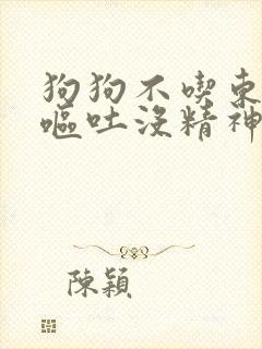 狗狗不吃东西还呕吐没精神怎么办拉稀