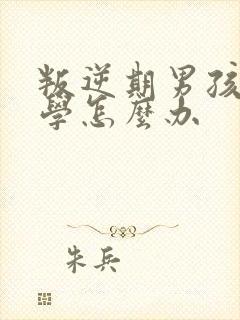 叛逆期男孩不上学怎么办