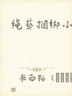 绳艺捆绑小说封面