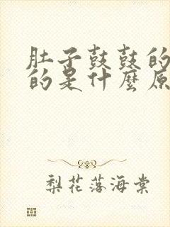 肚子鼓鼓的胀胀的是什么原因