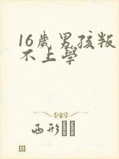 16岁男孩叛逆不上学