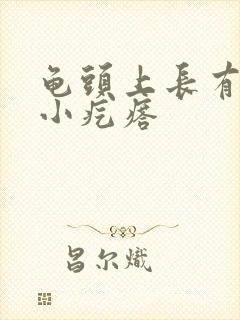 龟头上长有白色小疙瘩封面