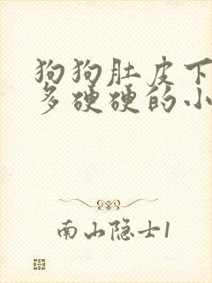 狗狗肚皮下有好多硬硬的小疙瘩