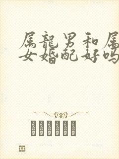 属龙男和属兔的女婚配好吗