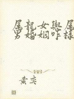 属龙女与属牛的男婚姻咋样封面