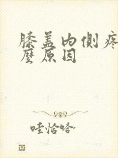 膝盖内侧疼痛什么原因