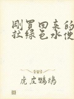 刚买回来的鸽子拉绿色水便