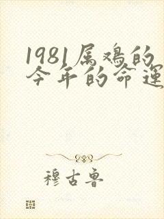 1981属鸡的今年的命运怎么样