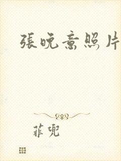 张晚意照片高清