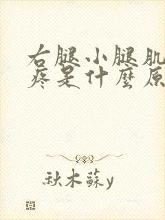 右腿小腿肌肉酸疼是什么原因引起的