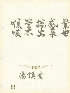 喉管总感觉有痰咳不出来也咽不下去封面