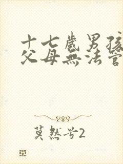 十七岁男孩叛逆父母无法管教封面