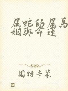 属蛇的属马的婚姻与命运封面