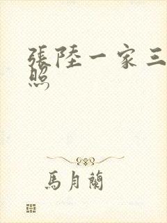 张陆一家三口近照