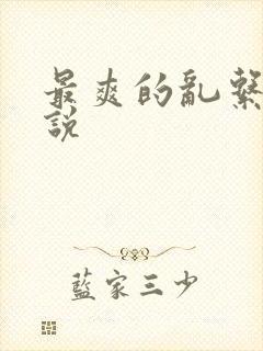 最爽的乱系列小说封面