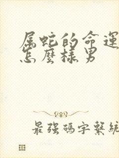 属蛇的命运一生怎么样男
