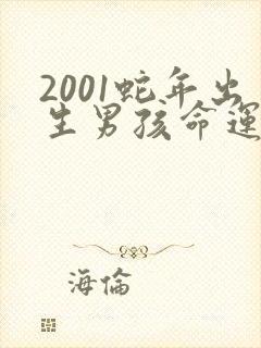 2001蛇年出生男孩命运如何封面