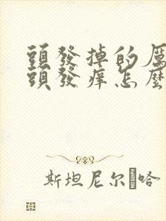 头发掉的厉害,头发痒怎么回事封面