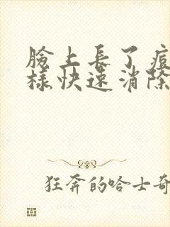 脸上长了痘痘怎样快速消除